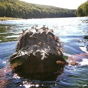 Meet your Posher, Darrin